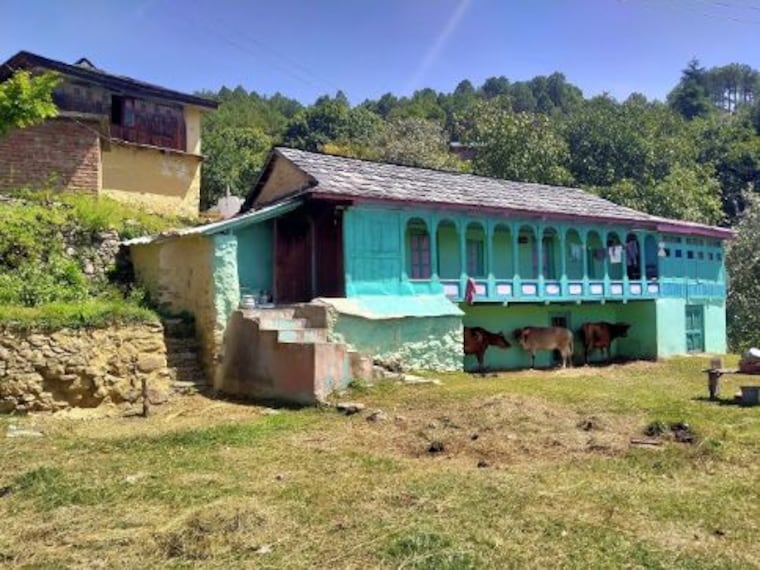 Shali Tibba-1